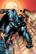 Batman The Dark Knight Cover