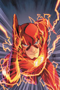 The Flash The Flash Cover
